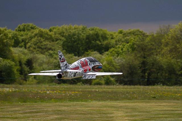 18558828 1943722845862066 4334310898843258165 o