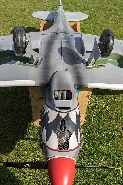 18559012 1944146772486340 1242461363415049748 o