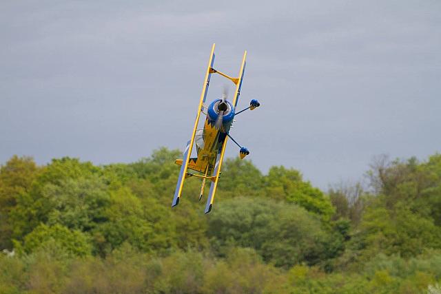 18588671 1943744102526607 5677823342892016842 o