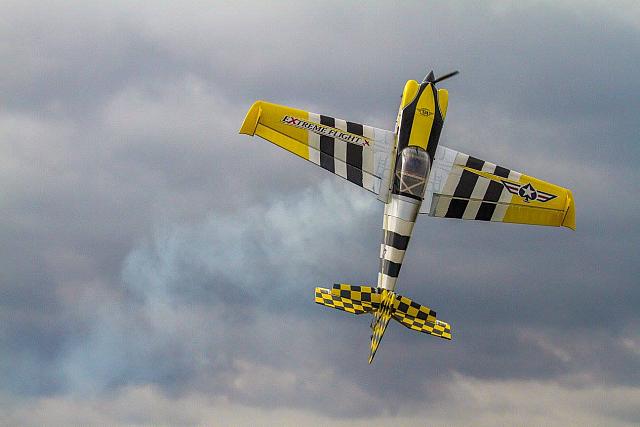 18588779 1943742155860135 4726432366766012555 o