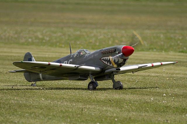 18588932 1943722525862098 7521257305202326420 o