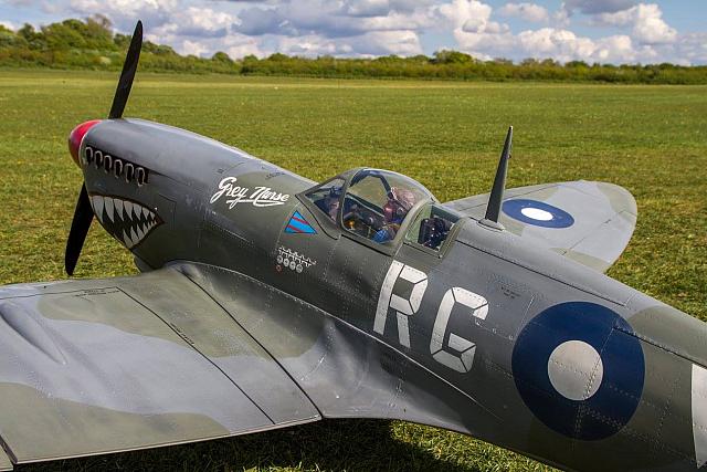 18589035 1944139815820369 6075594534788368662 o