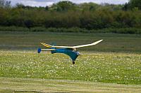 18588973 1943733875860963 9044476455187825703 o